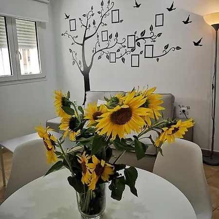 Senores Curas Appartement *