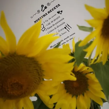 Senores Curas Conil De La Frontera