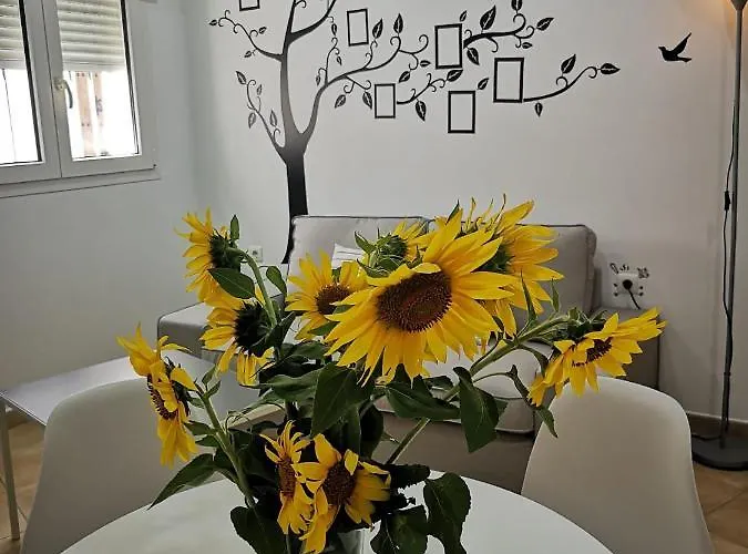 Senores Curas Apartment *