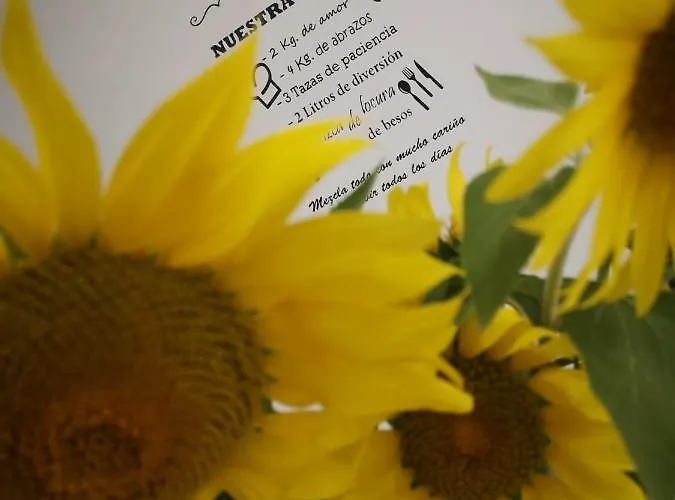 Senores Curas Conil De La Frontera